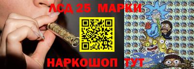 СК Камышлов